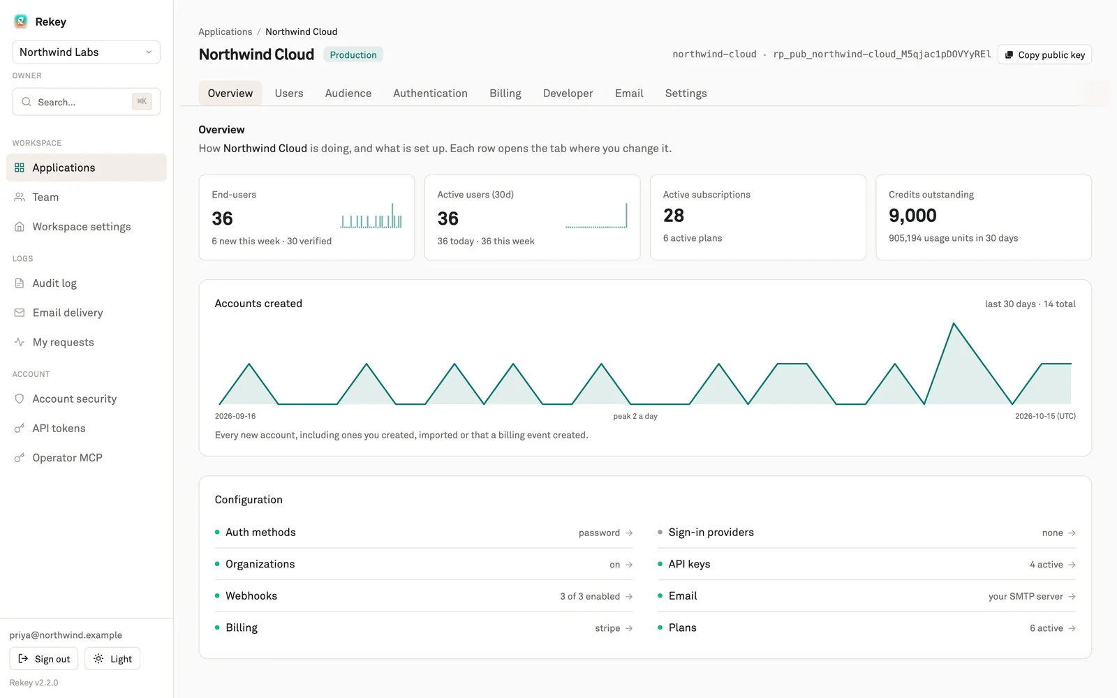 Rekey application overview: end users, active users, subscriptions, credits and an accounts-created chart